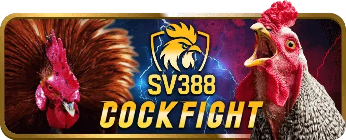 Hình ảnh về cá cược thể thao tại ku99 link vào